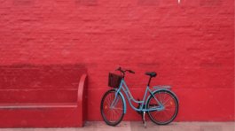 demo-attachment-853-christian-stahl-xmGkzY-Fgg-unsplash